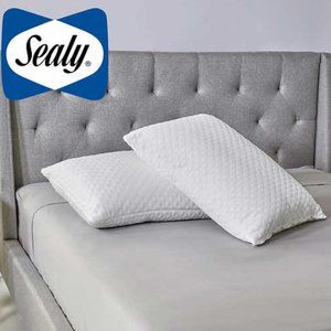 sealy frost pillow